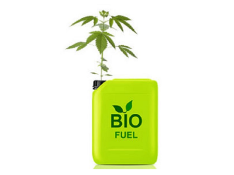 Hemp Bio Fuel